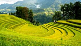 image-37